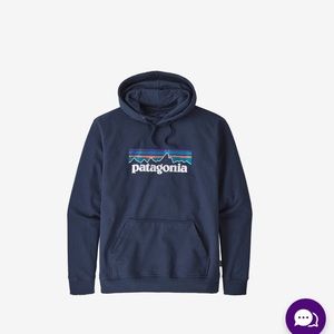 Men’s Patagonia hoodie